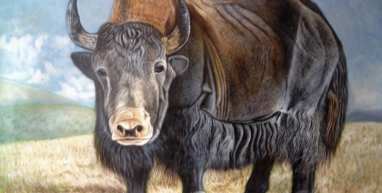 向扬艺术墙体彩绘教你选择儿童房墙体彩绘颜色